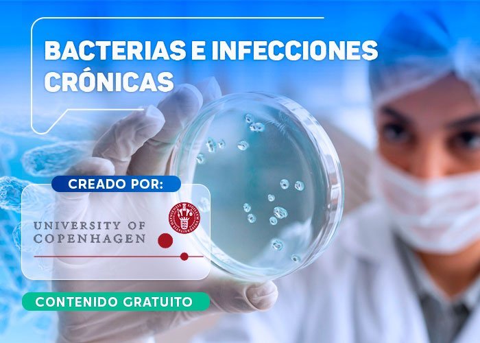 Bacterias infecciones cronicas