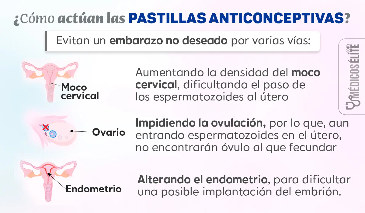 Pastillas Anticonceptivas cómo Actúan