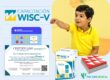 Curso WISC-V Certificado