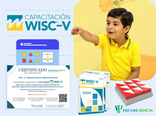 Curso WISC-V Certificado