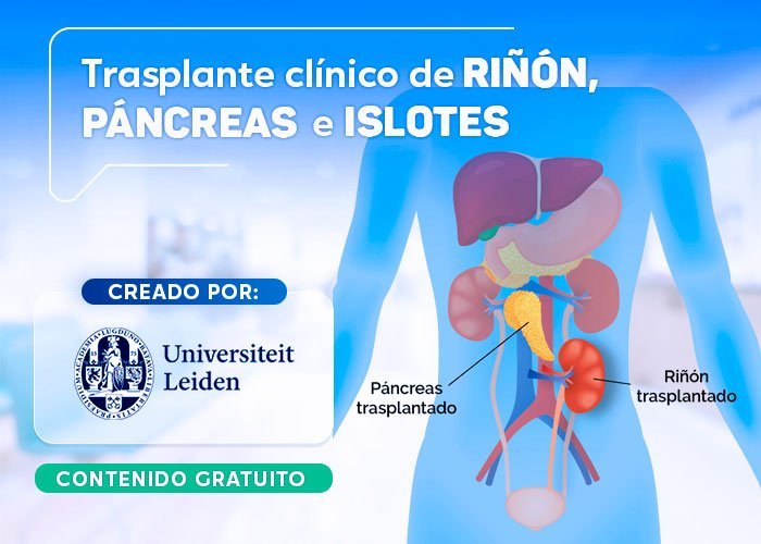 Transplante clinico de rinon pancreas islotes